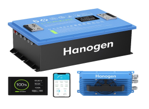 Báo giá bán pin Lithium xe điện (xe golf điện, xe du lịch điện)