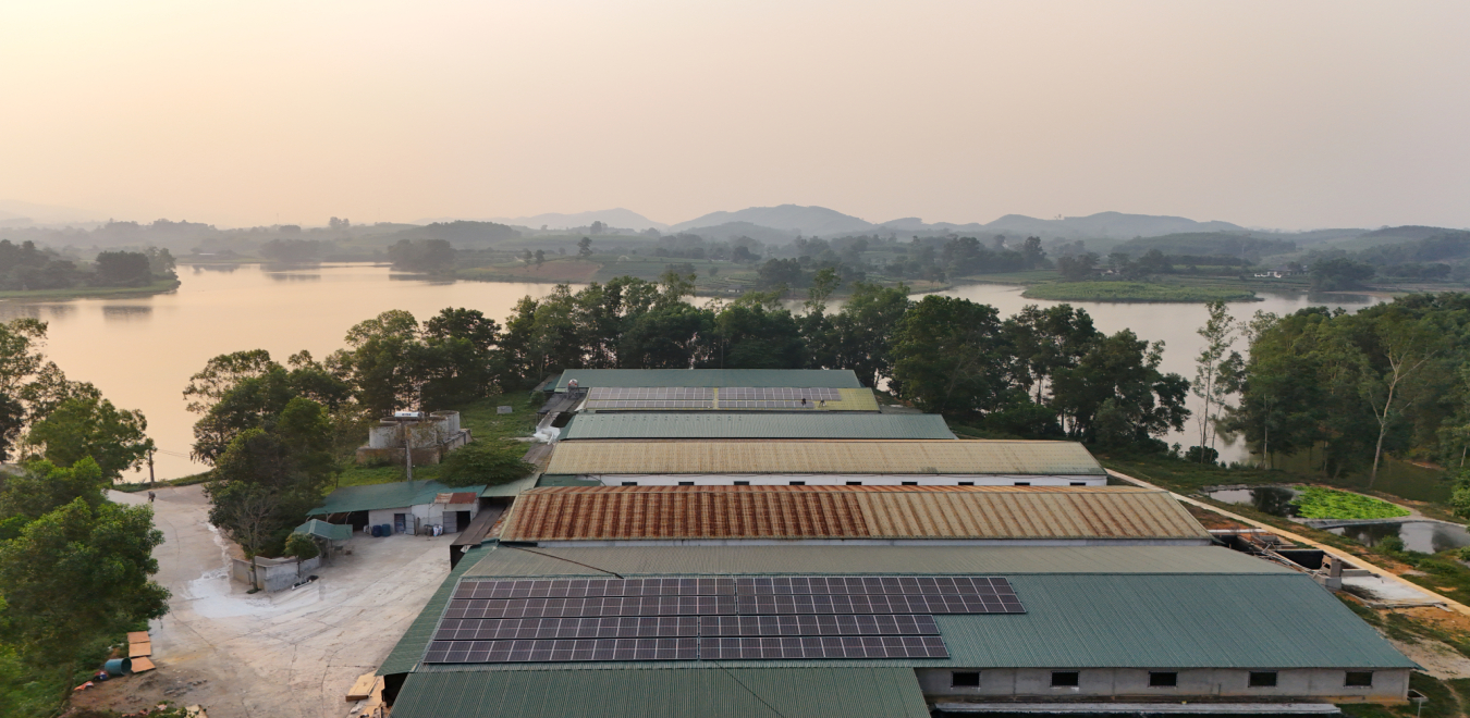 Hanogen lắp đặt điện năng lượng mặt trời cho trang trại